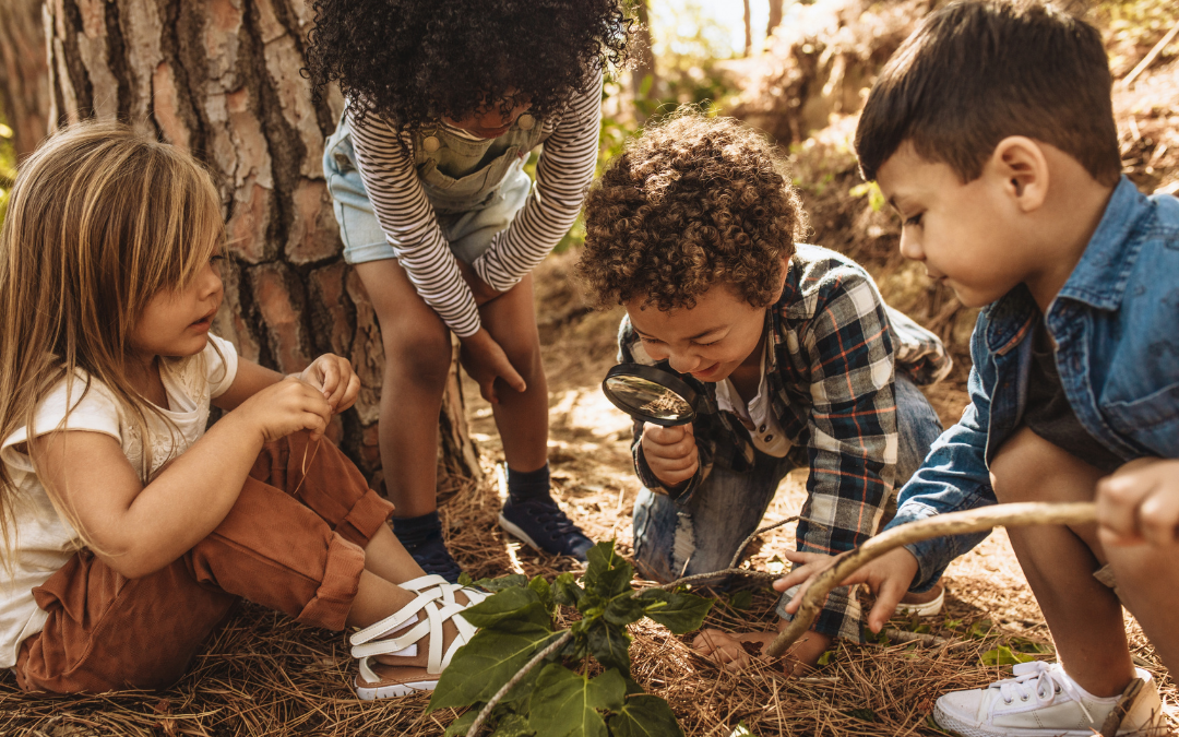 Four kids inspecting branches and pine needles with a magnifying glass.