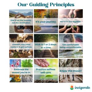 Invigorate Guiding Principles