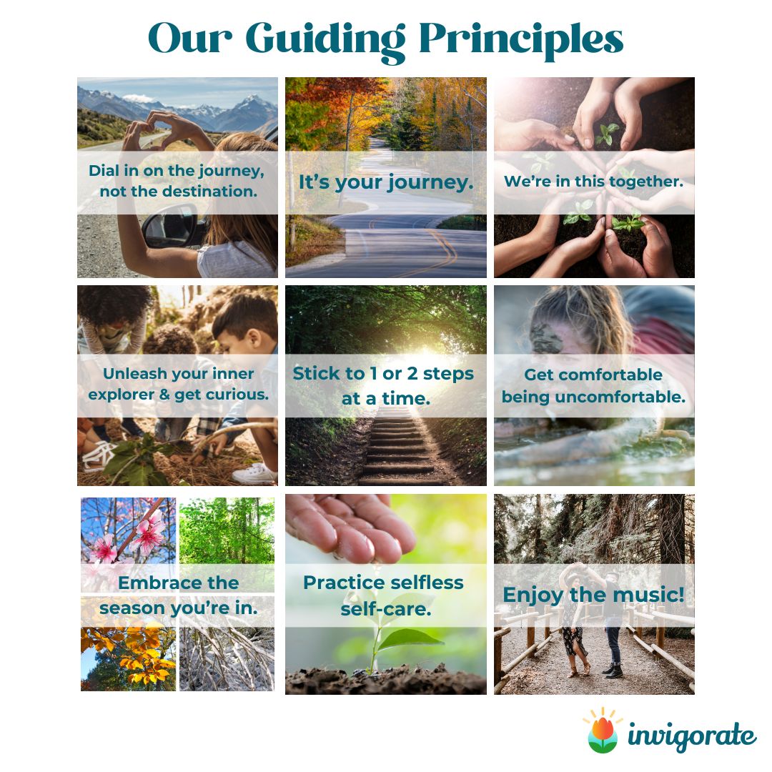 Invigorate Guiding Principles